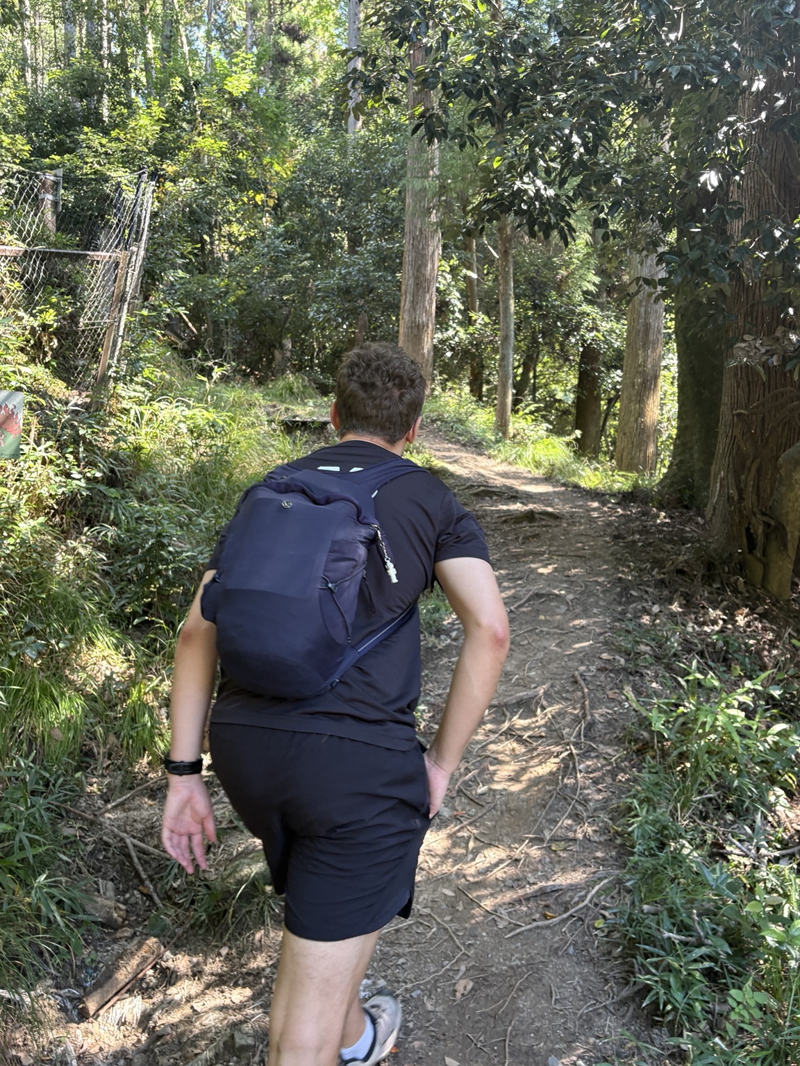 An unedited photograph of a woodland trail